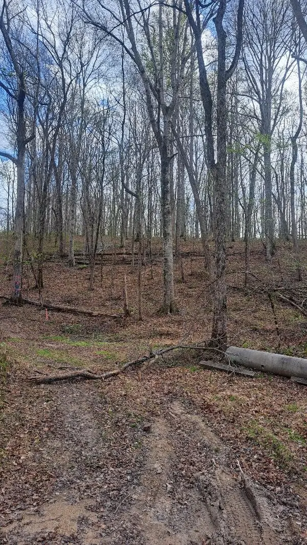 0B Napier Rd, Hohenwald, TN 38462