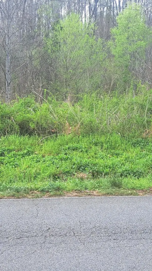 0 Napier Rd, Hohenwald, TN 38462