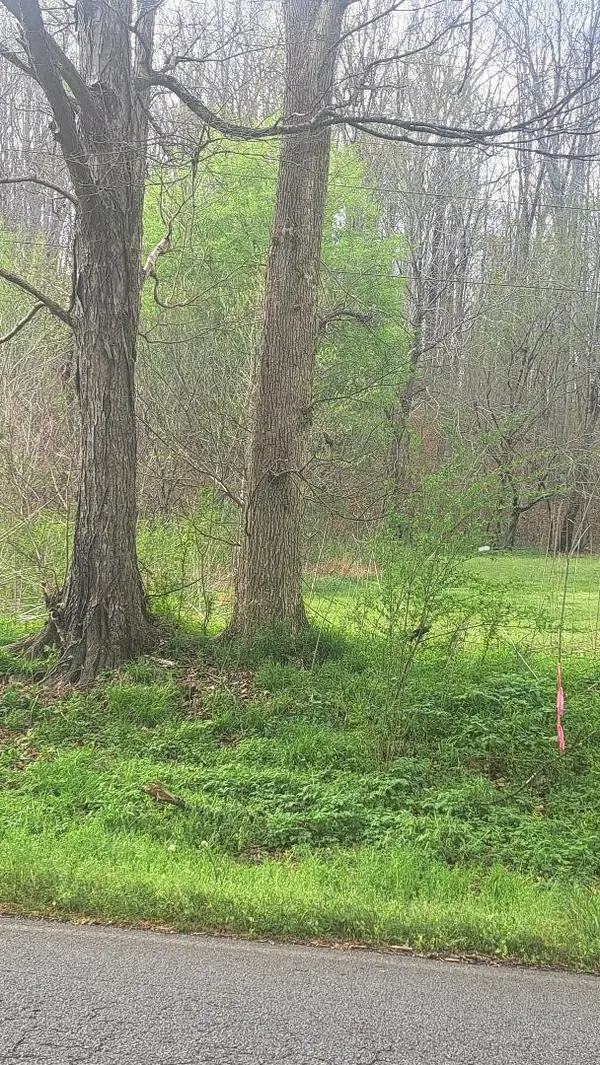 0 Napier Rd, Hohenwald, TN 38462