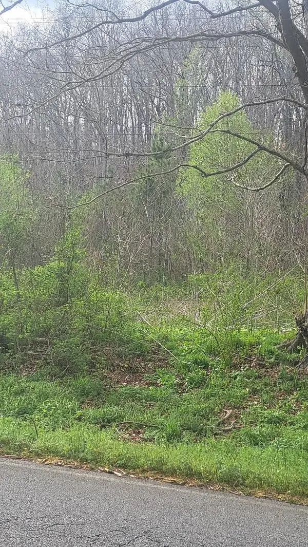 0 Napier Rd, Hohenwald, TN 38462