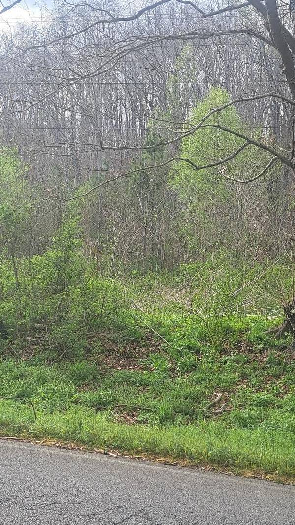 0 Napier Rd, Hohenwald, TN 38462