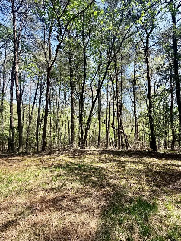 0 Timberwood Trace Lot 310, Monteagle, TN 37356