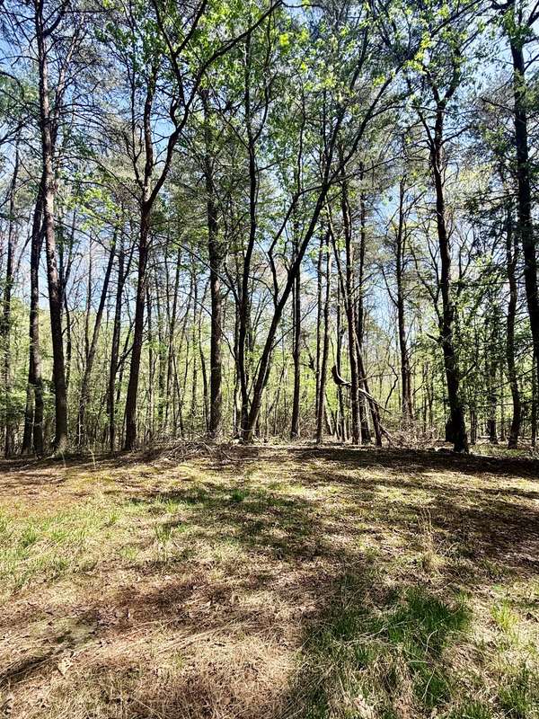 0 Timberwood Trace, Monteagle, TN 37356