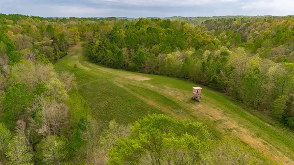 1103 Johnny Spears Rd, Westmoreland, TN 37186