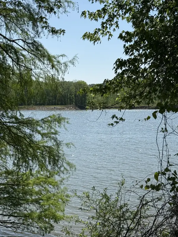 461 Hardin Bottom Rd, Clifton, TN 38425