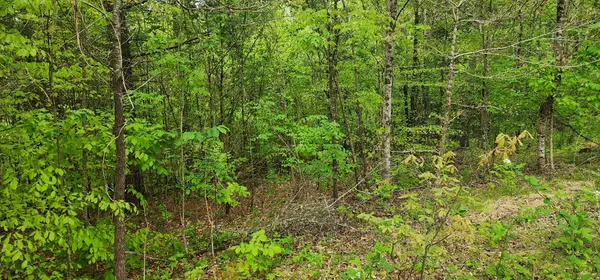 0 Jefferson Rd, Smithville, TN 37166