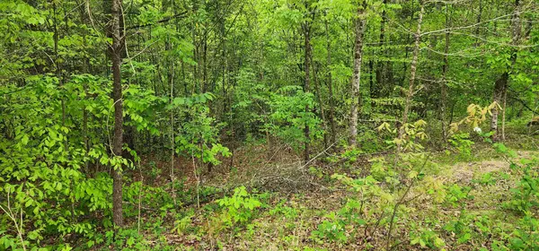 0 Jefferson Rd, Smithville, TN 37166