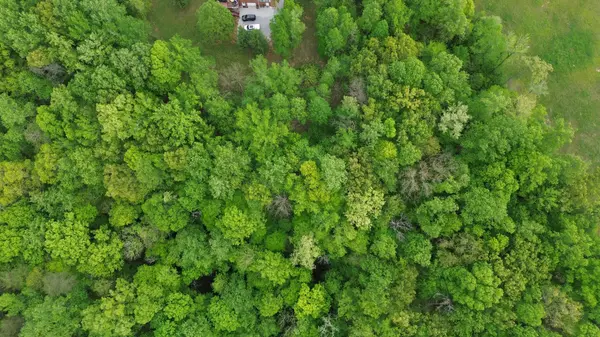 0 Jefferson Rd, Smithville, TN 37166