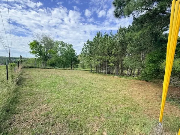 0 Highway 41A, Pleasant View, TN 37146