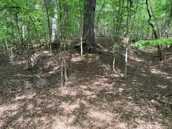 496 Gin Pond Drive, Saulsbury, TN 38067