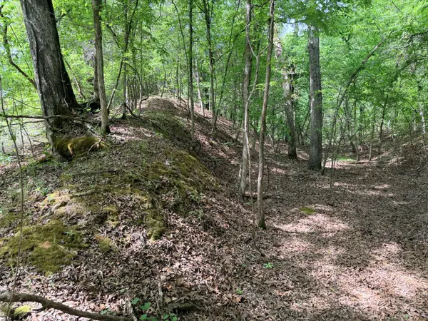 496 Gin Pond Drive, Saulsbury, TN 38067