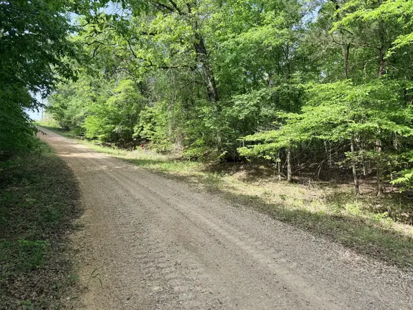 496 Gin Pond Drive, Saulsbury, TN 38067