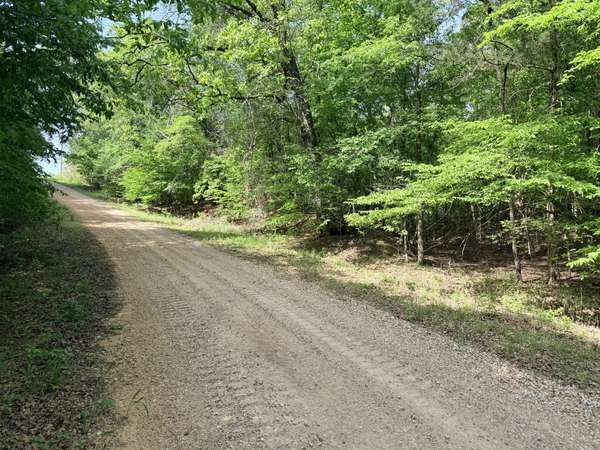 496 Gin Pond Drive, Saulsbury, TN 38067