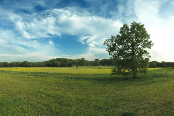 5 Corinth Road, Mount Juliet, TN 37122