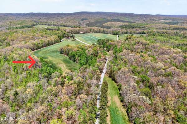 5 Smith Mountain Rd, Rockwood, TN 37854