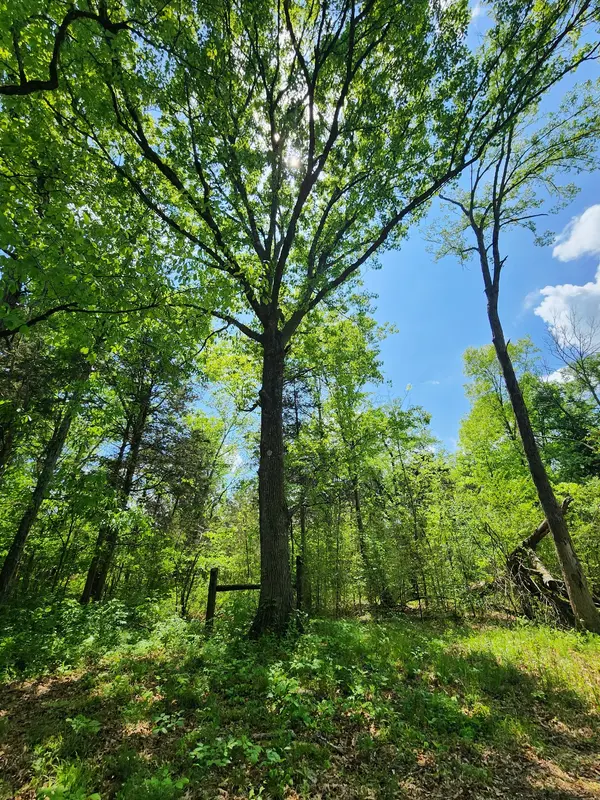 0 Murray Kittrell Rd, Readyville, TN 37149