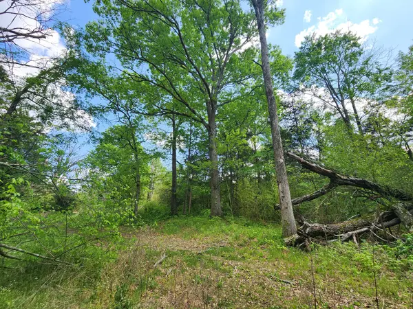 0 Murray Kittrell Rd, Readyville, TN 37149