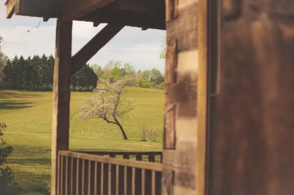 1854 Catoosa Rd, Wartburg, TN 37887