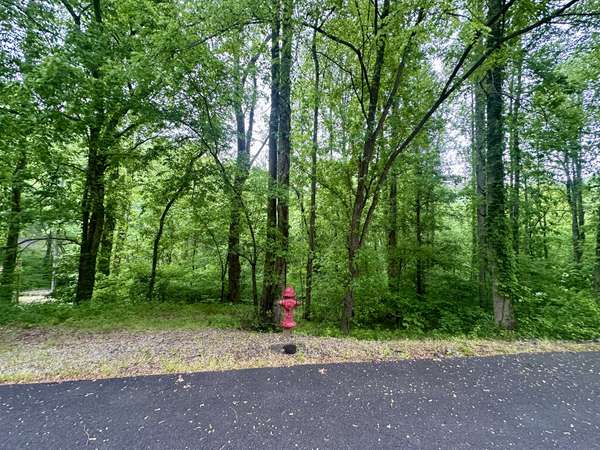 0 Baymont Dr, Lancaster, TN 38569