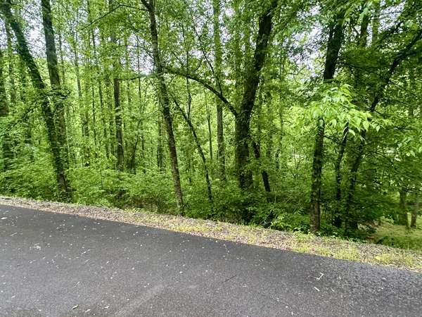 0 Baymont Dr, Lancaster, TN 38569
