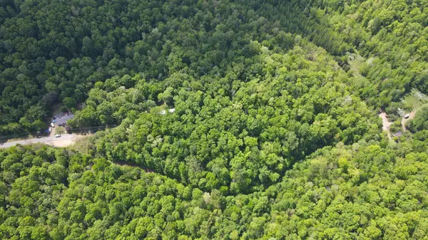 578 Cyclone Ln, Waverly, TN 37185