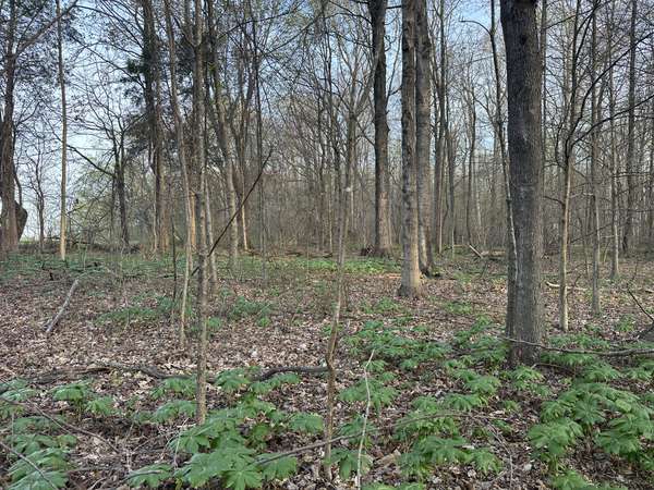 168 Fleming Rd, Portland, TN 37148
