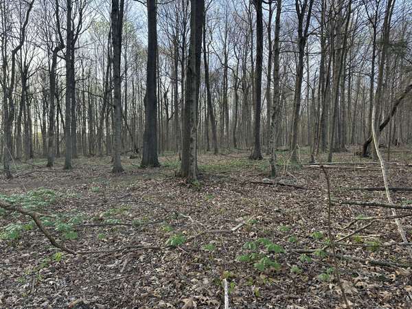 163 White Rd, Portland, TN 37148
