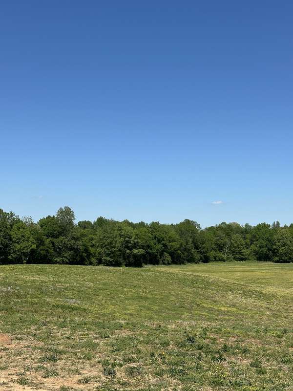 163 White Rd, Portland, TN 37148