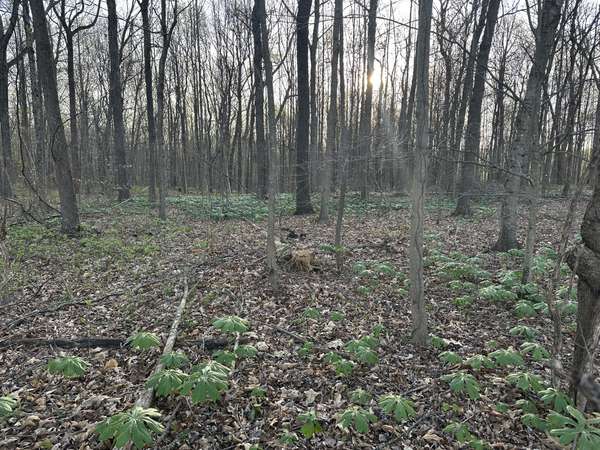 2181 Highway 259, Portland, TN 37148