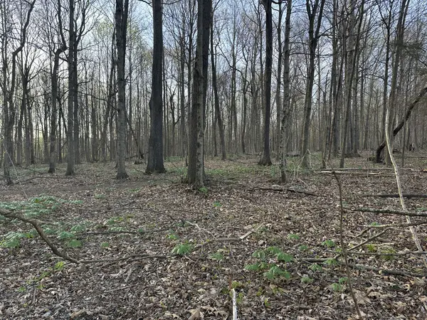 152 Fleming Rd, Portland, TN 37148