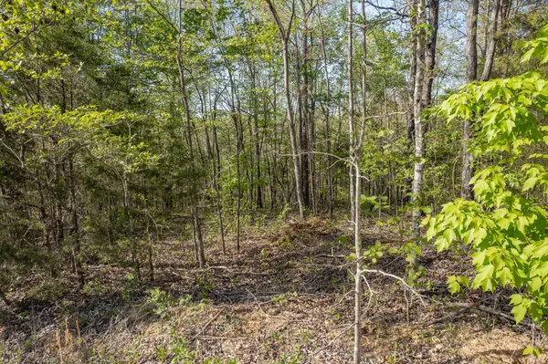 0 Chief Creek Rd, Lawrenceburg, TN 38464