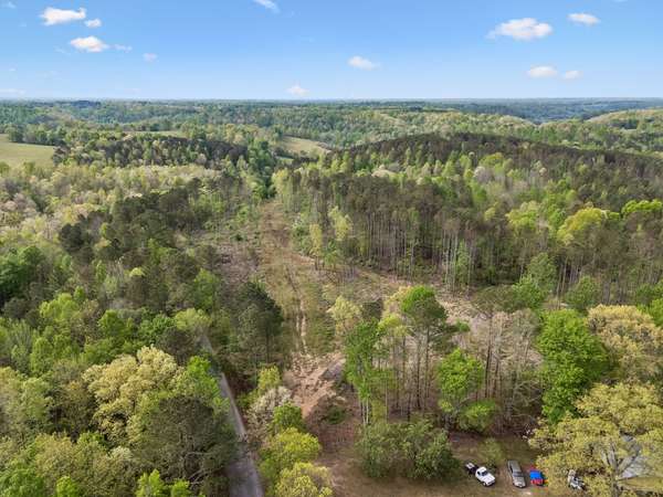 1 Pleasant Ridge Rd, Goodspring, TN 38460