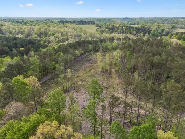 1 Pleasant Ridge Rd, Goodspring, TN 38460