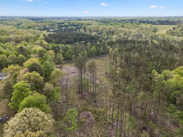 1 Pleasant Ridge Rd, Goodspring, TN 38460
