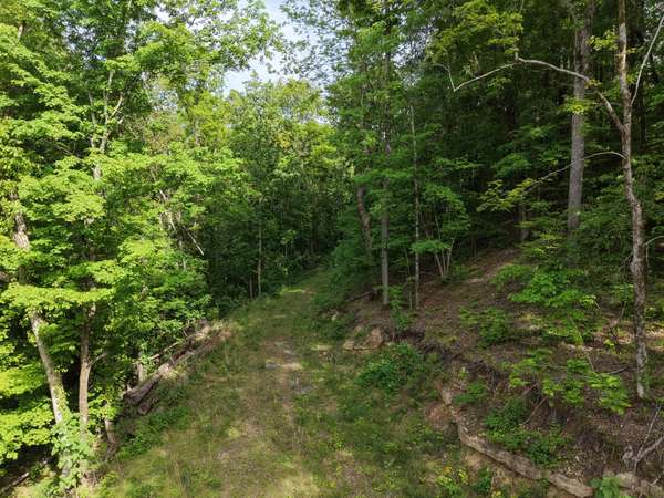 0 Bethel Rd, Pulaski, TN 38478