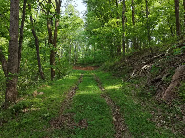 0 Bethel Rd, Pulaski, TN 38478