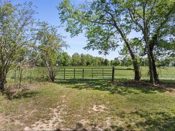 0 Chisholm Rd, Iron City, TN 38463