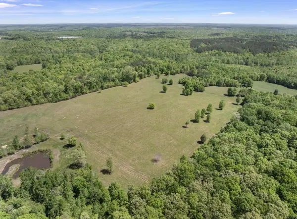 0 Chisholm Rd, Iron City, TN 38463