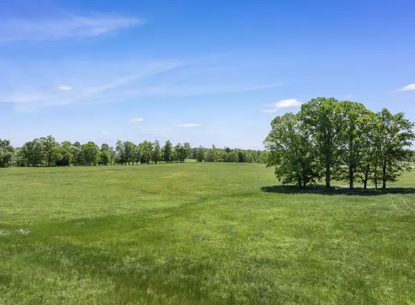 0 Chisholm Rd, Iron City, TN 38463