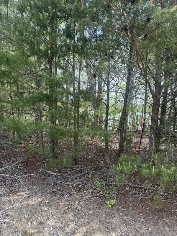 16624 N Star Cir, Bakewell, TN 37373