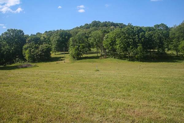 0 Harpeth Peytonsville Rd, Thompsons Station, TN 37179