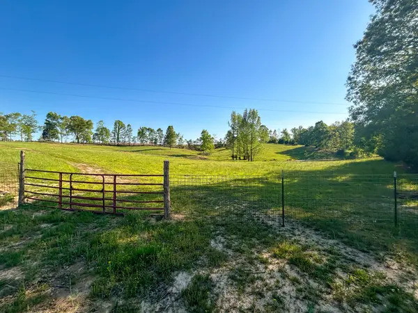 1185 Blackburn Rd, Mc Kenzie, TN 38201