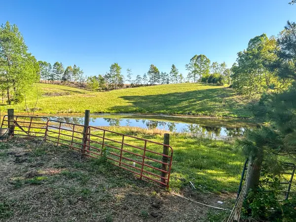 1185 Blackburn Rd, Mc Kenzie, TN 38201