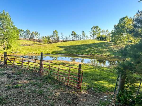1185 Blackburn Rd, Mc Kenzie, TN 38201