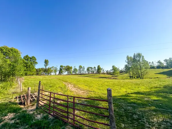 1185 Blackburn Rd, Mc Kenzie, TN 38201