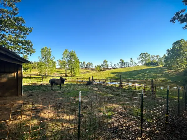 1185 Blackburn Rd, Mc Kenzie, TN 38201