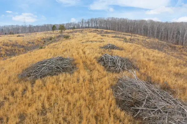 0 Flatwoods Road, Camden, TN 38320