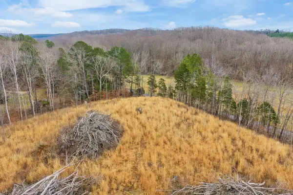 0 Flatwoods Road, Camden, TN 38320