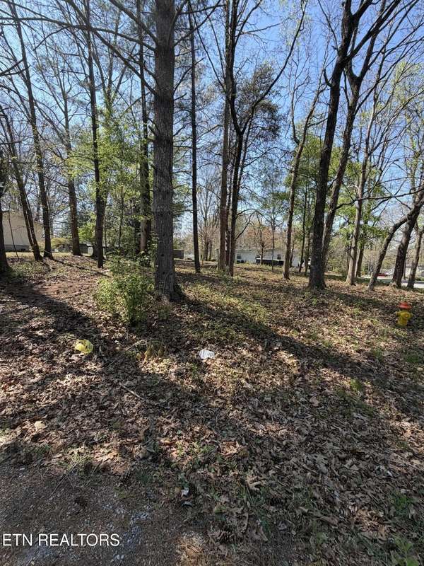 319 Dartmoor Drive, Crossville, TN 38558