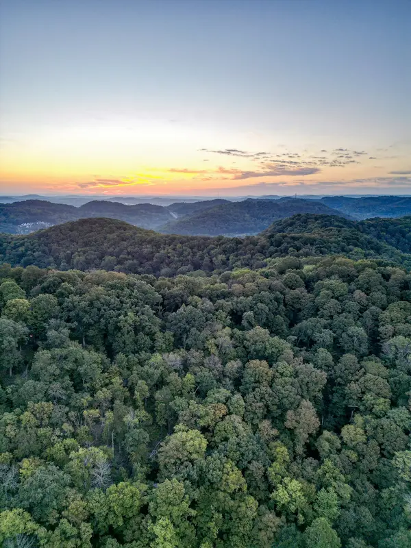 538 Beech Creek Rd #S, Brentwood, TN 37027